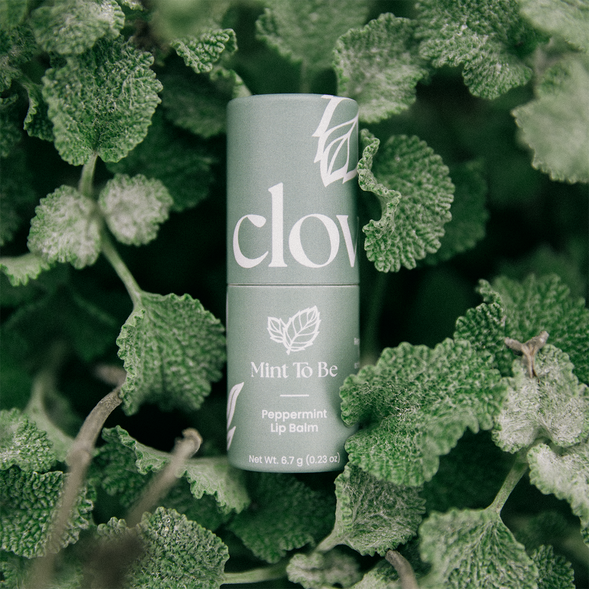 Mint To Be - Big Balm